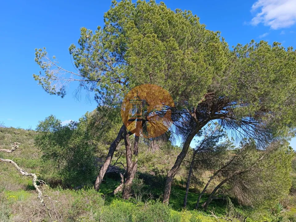 Helårsgrund i Castro Marim, Faro - foto 1