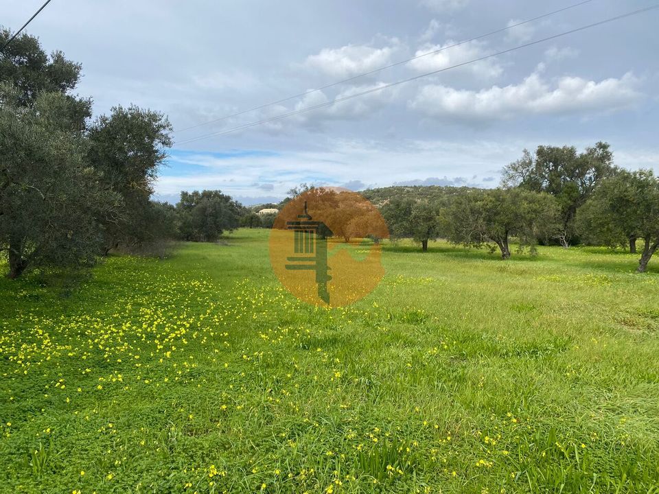 Helårsgrund i Sao Bras de Alportel, Faro - foto 1