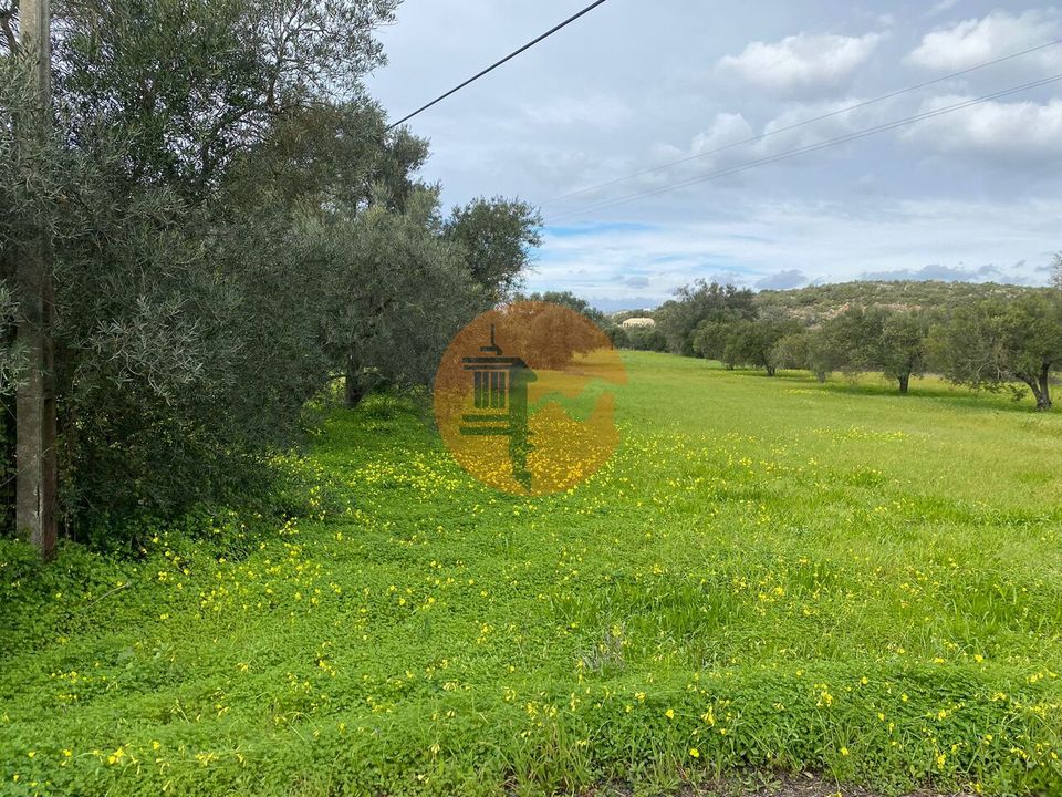 Helårsgrund i Sao Bras de Alportel, Faro - foto 3