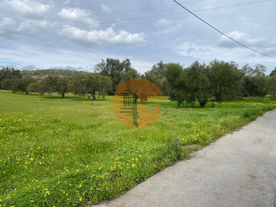 Helårsgrund i Sao Bras de Alportel, Faro - foto 4
