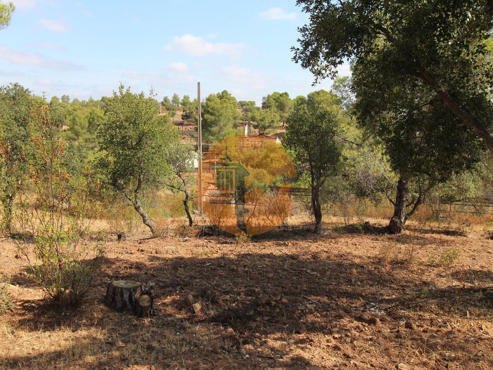 Farm i Castro Marim, Faro - foto 5