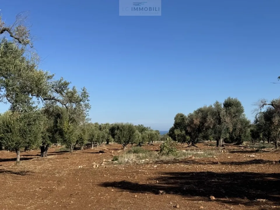Tomt i Carovigno, Brindisi - bilde 2