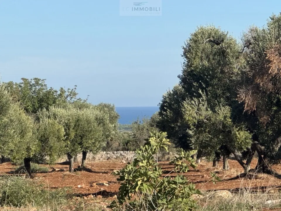 Tomt i Carovigno, Brindisi - bilde 1