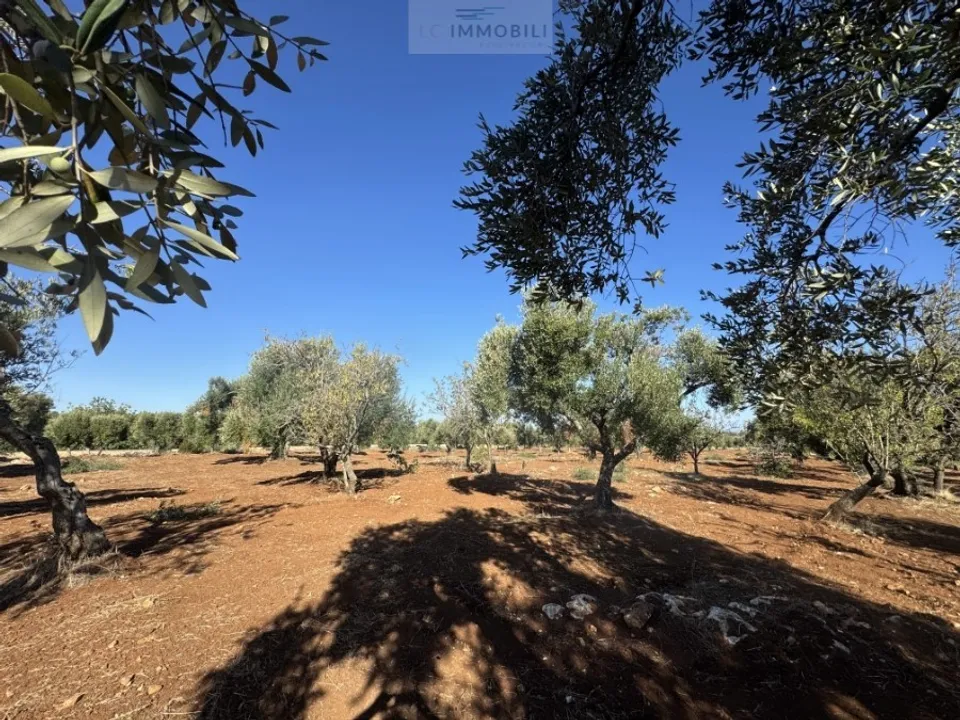 Tomt i Carovigno, Brindisi - bilde 5