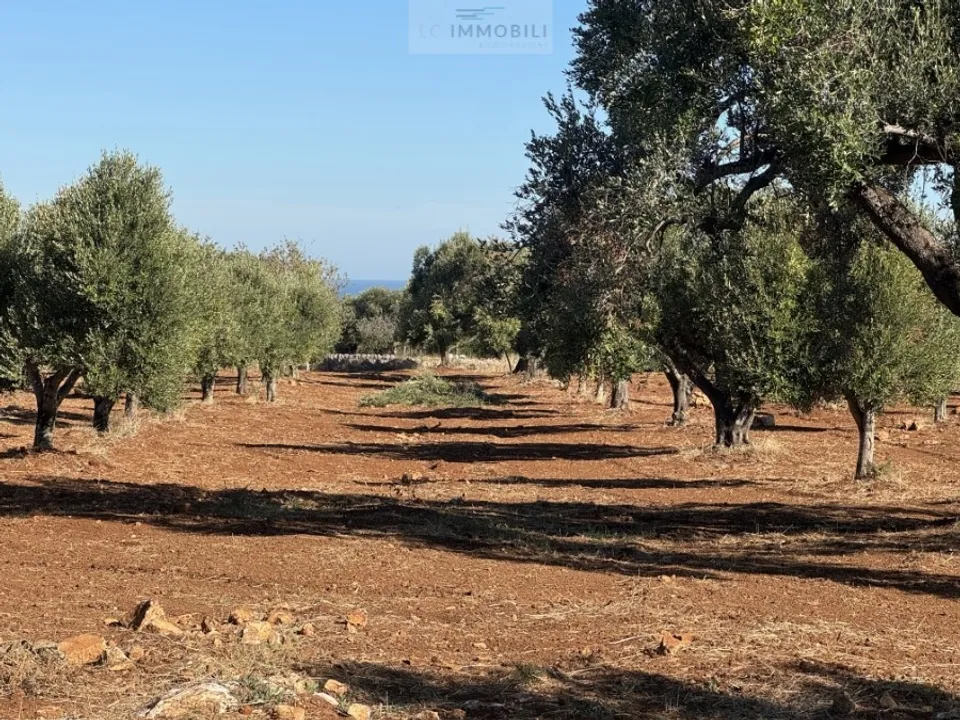 Tomt i Carovigno, Brindisi - bilde 3