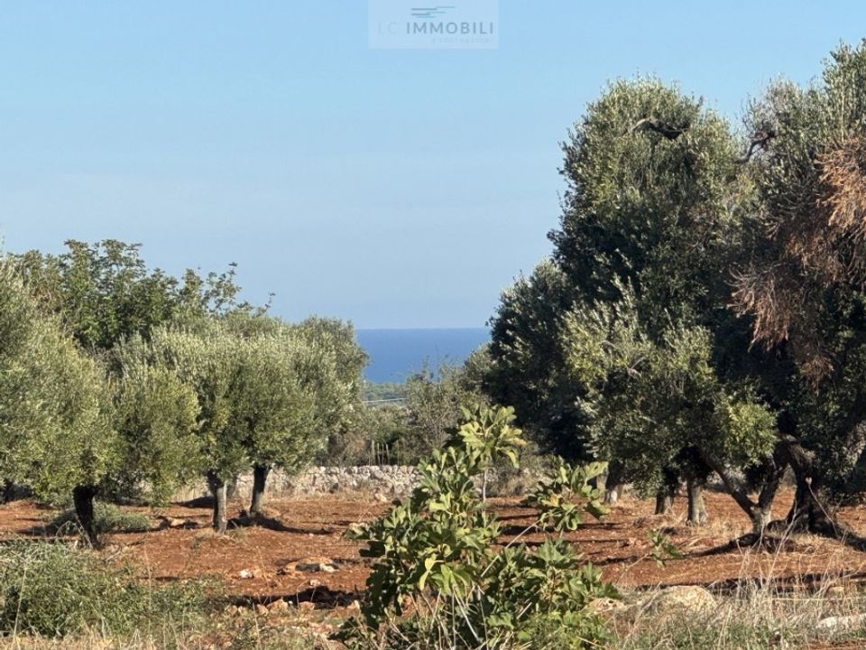 Tomt i Carovigno, Brindisi - bilde 4