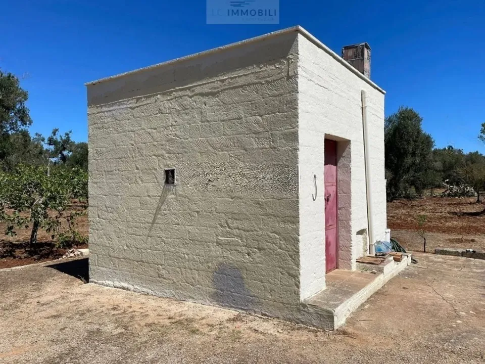 Land in Carovigno, Brindisi - photo 4