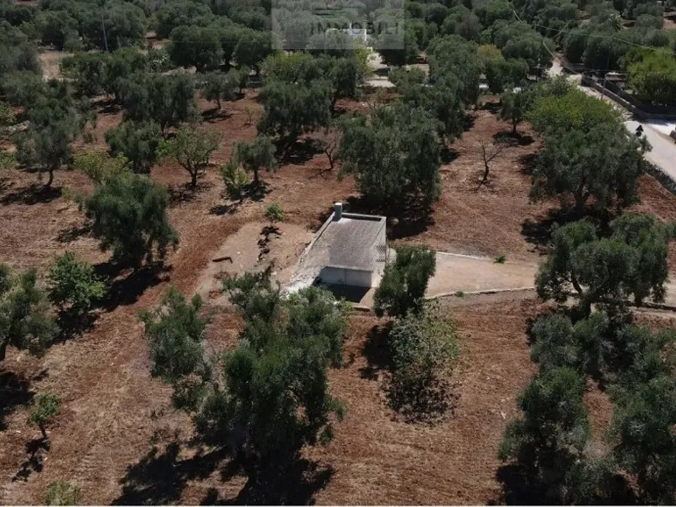 Land in Carovigno, Brindisi - photo 2