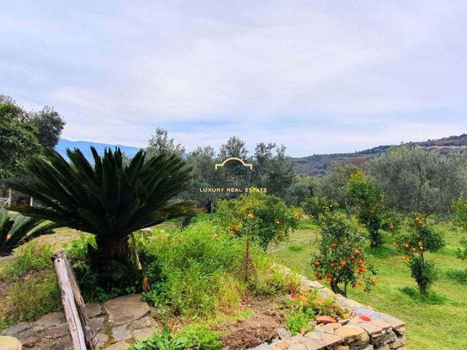 Landhuis in Casal Velino, Salerno - foto 2