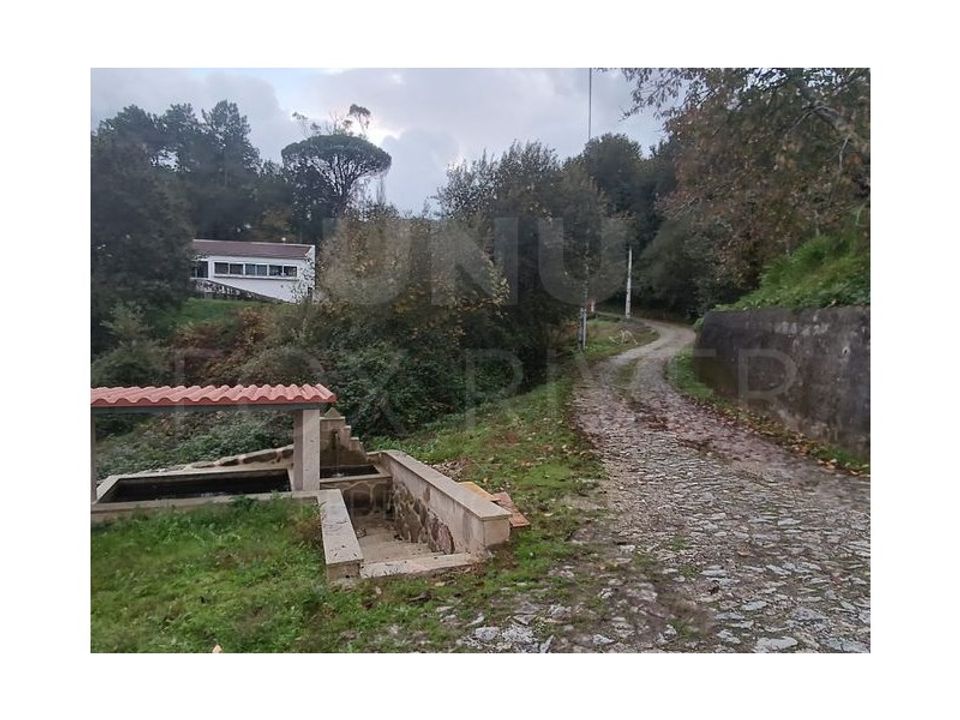 Helårsgrund i Valenca, Viana do Castelo - foto 5