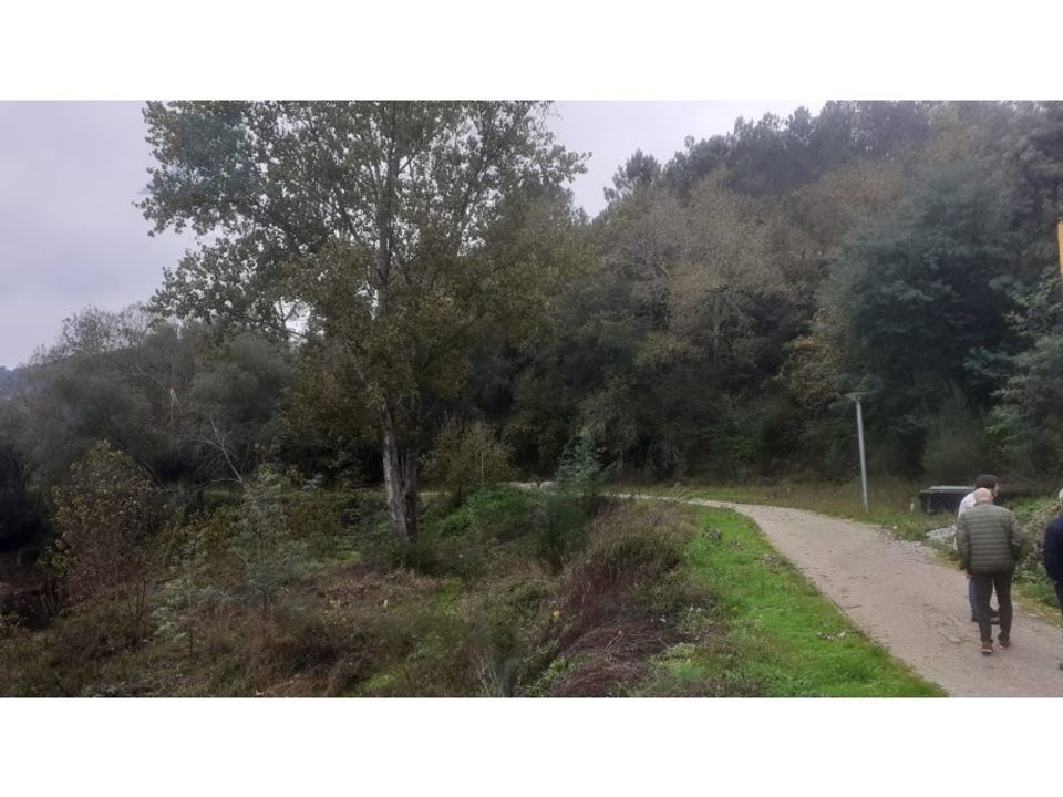 Erhvervsejendom i Amarante, Porto - foto 5
