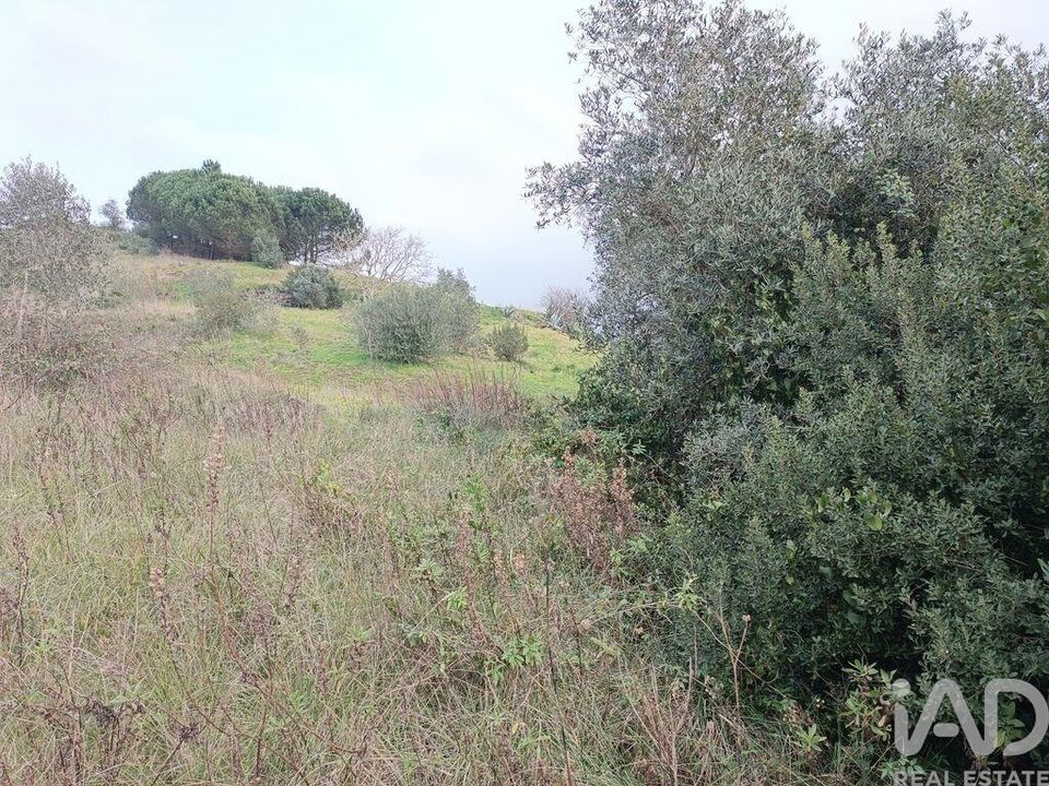 Terra a Alenquer, Lisbon - foto 5