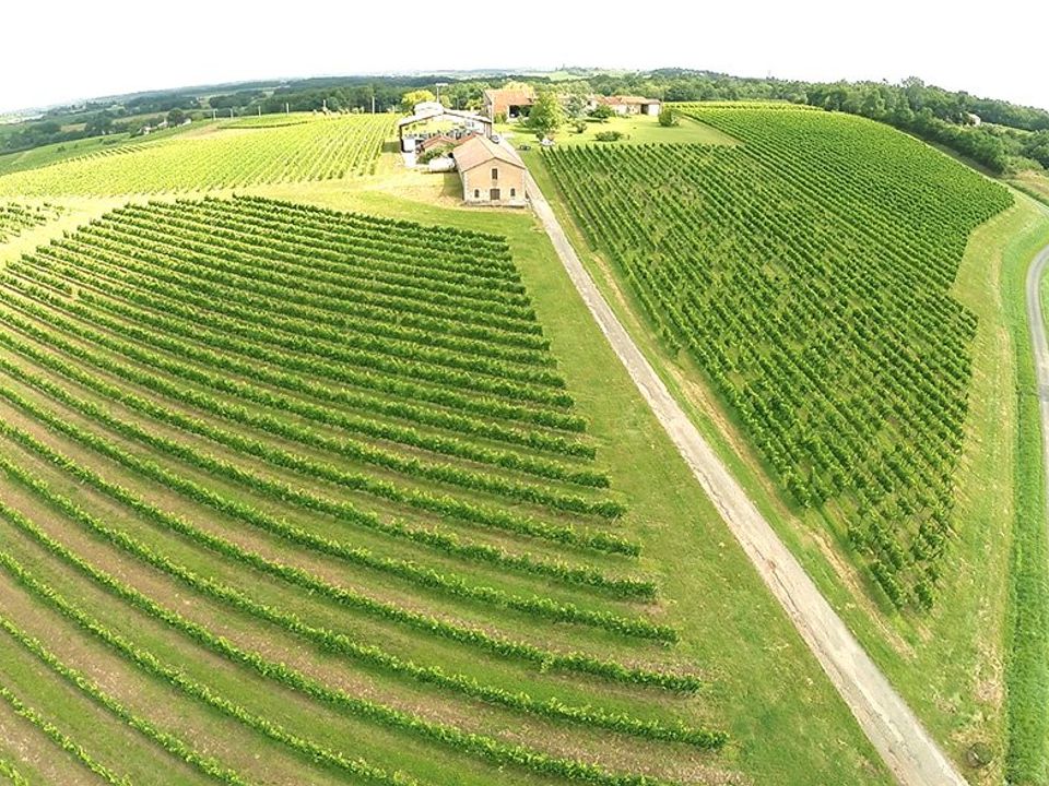 Farm i Sauveterre-de-Guyenne, Gironde - foto 1