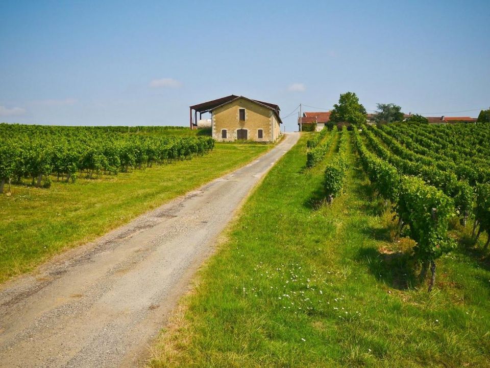 Farm i Sauveterre-de-Guyenne, Gironde - foto 2