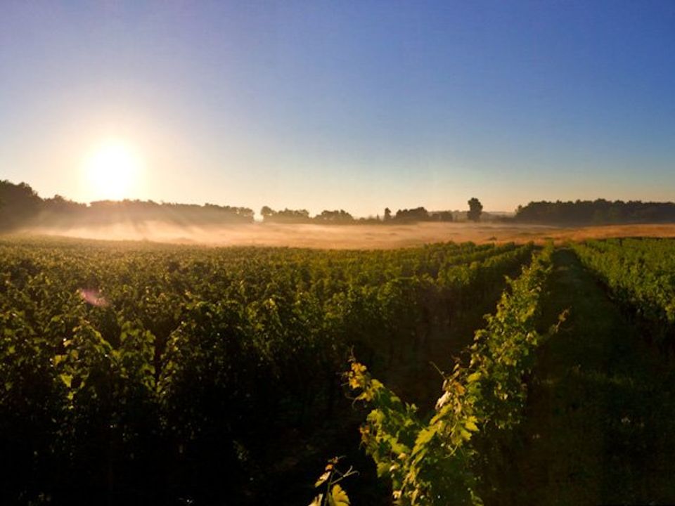 Farm i Sauveterre-de-Guyenne, Gironde - foto 5