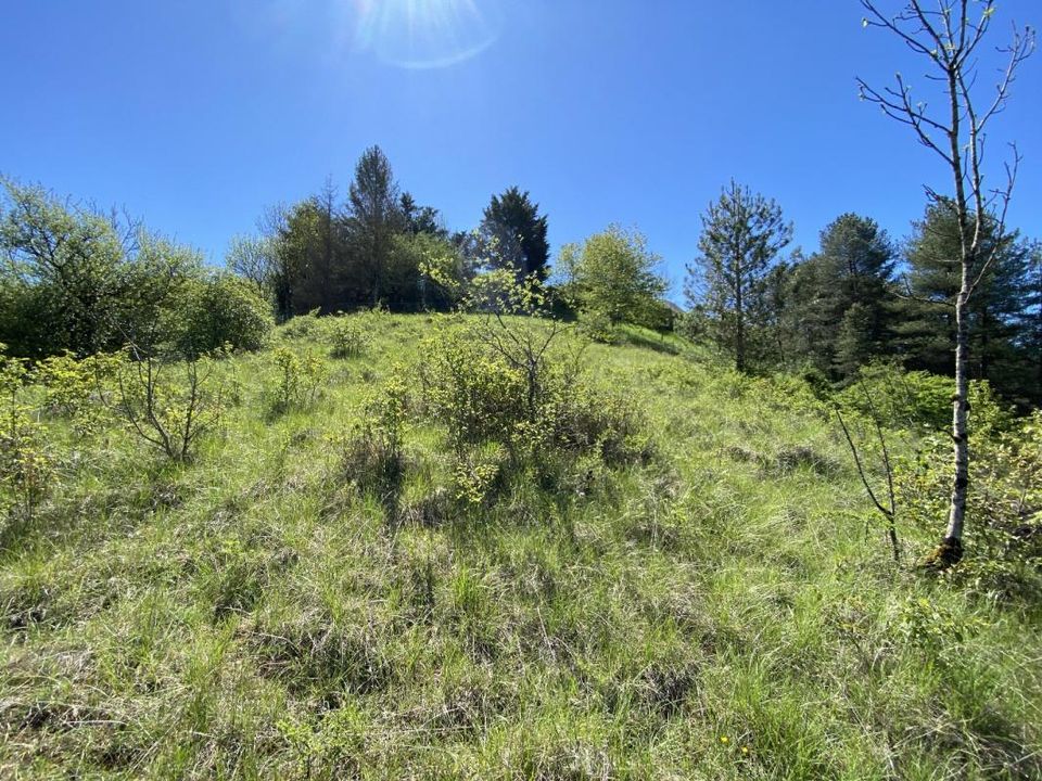 Helårsgrund i Onet-Le-Chateau, Aveyron - foto 1