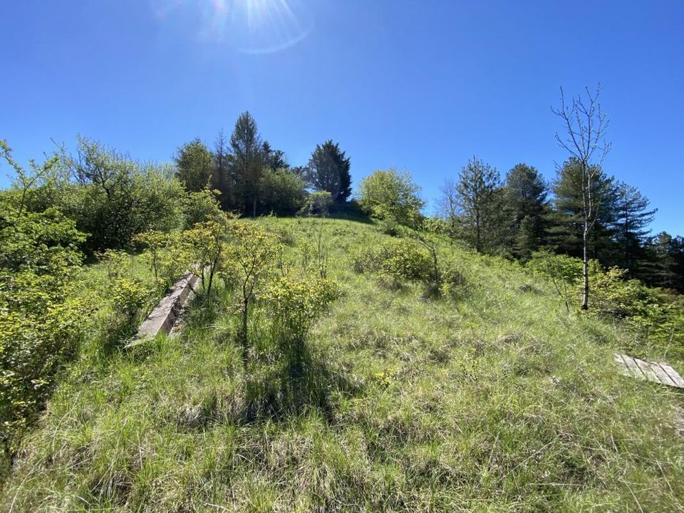Helårsgrund i Onet-Le-Chateau, Aveyron - foto 3