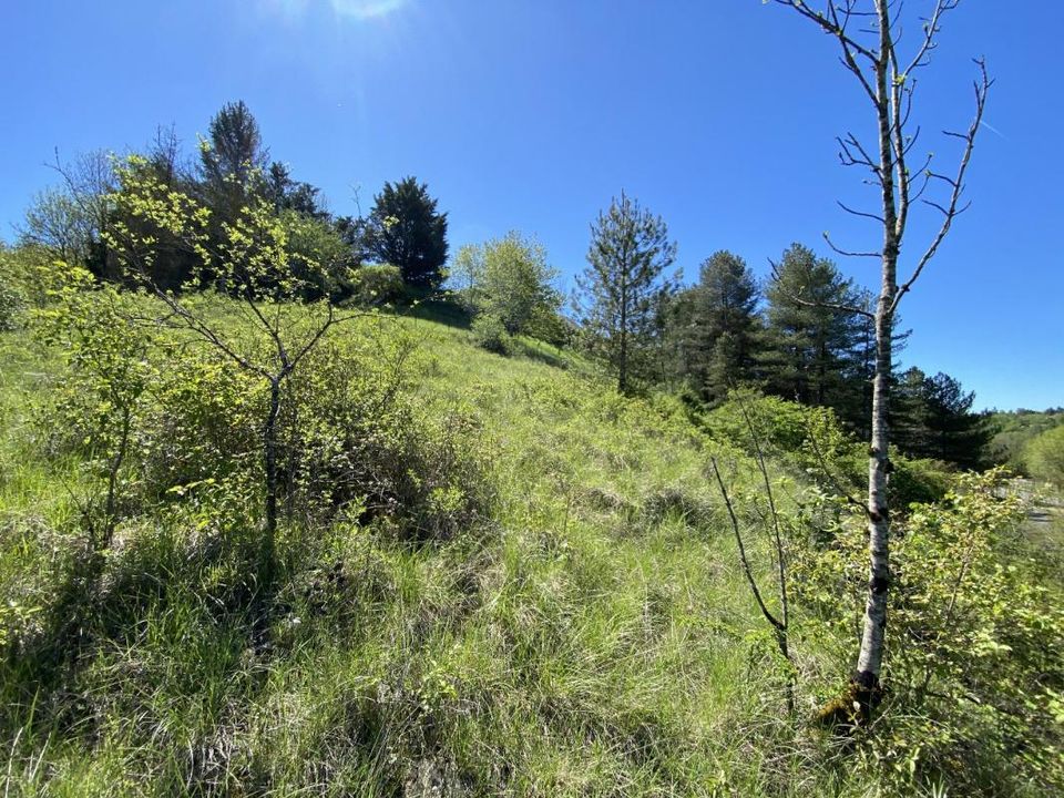 Helårsgrund i Onet-Le-Chateau, Aveyron - foto 4