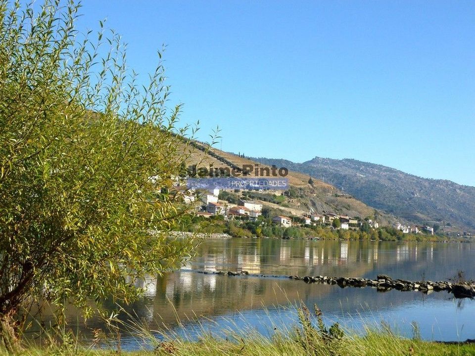 Villa i Peso da Regua, Vila Real - foto 5