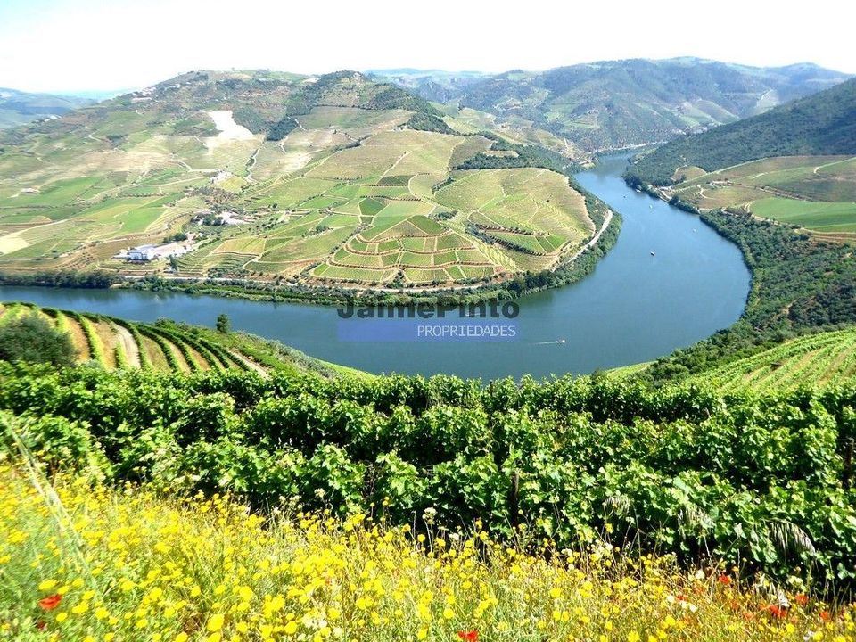Farm i Alijo, Vila Real - foto 4