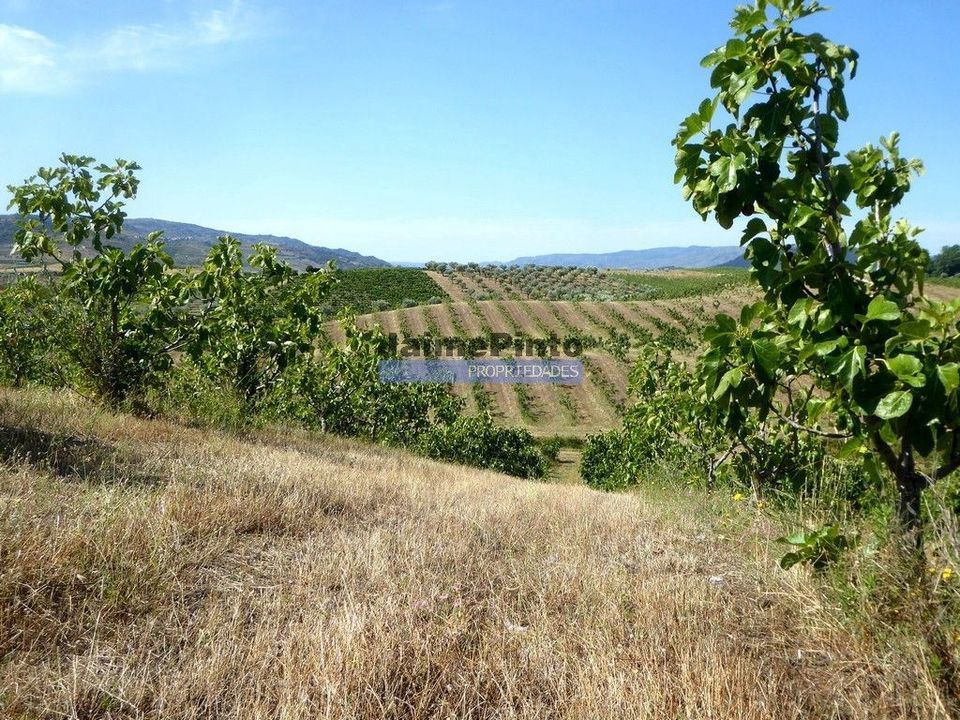 Helårsgrund i Mirandela, Braganca - foto 2