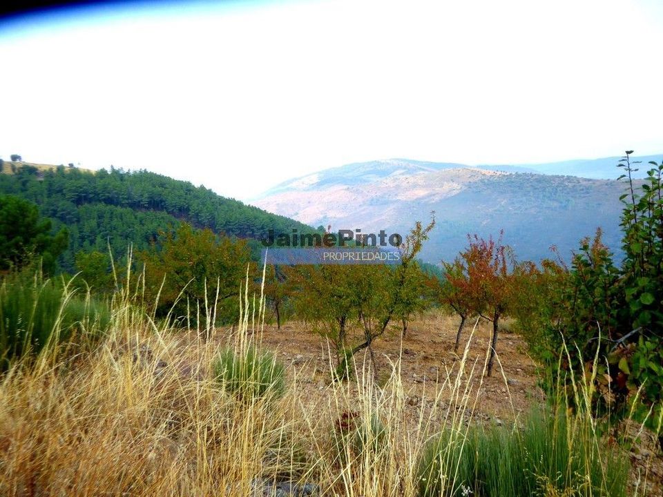 Helårsgrund i Freixo de Espada a Cinta, Braganca - foto 2
