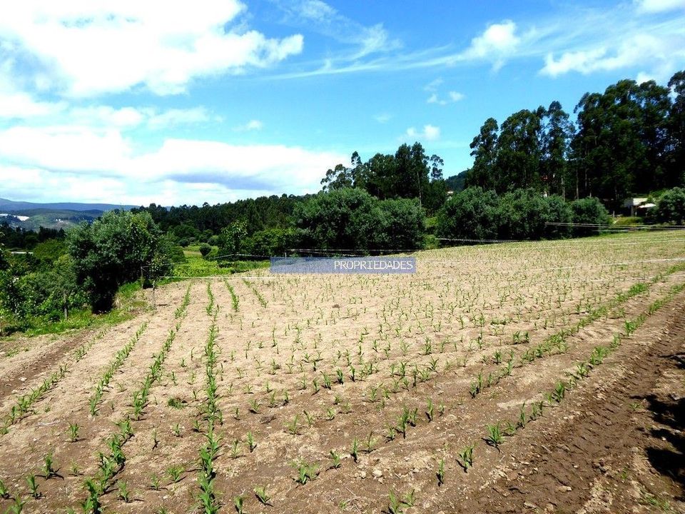 Helårsgrund i Paredes de Coura, Viana do Castelo - foto 2