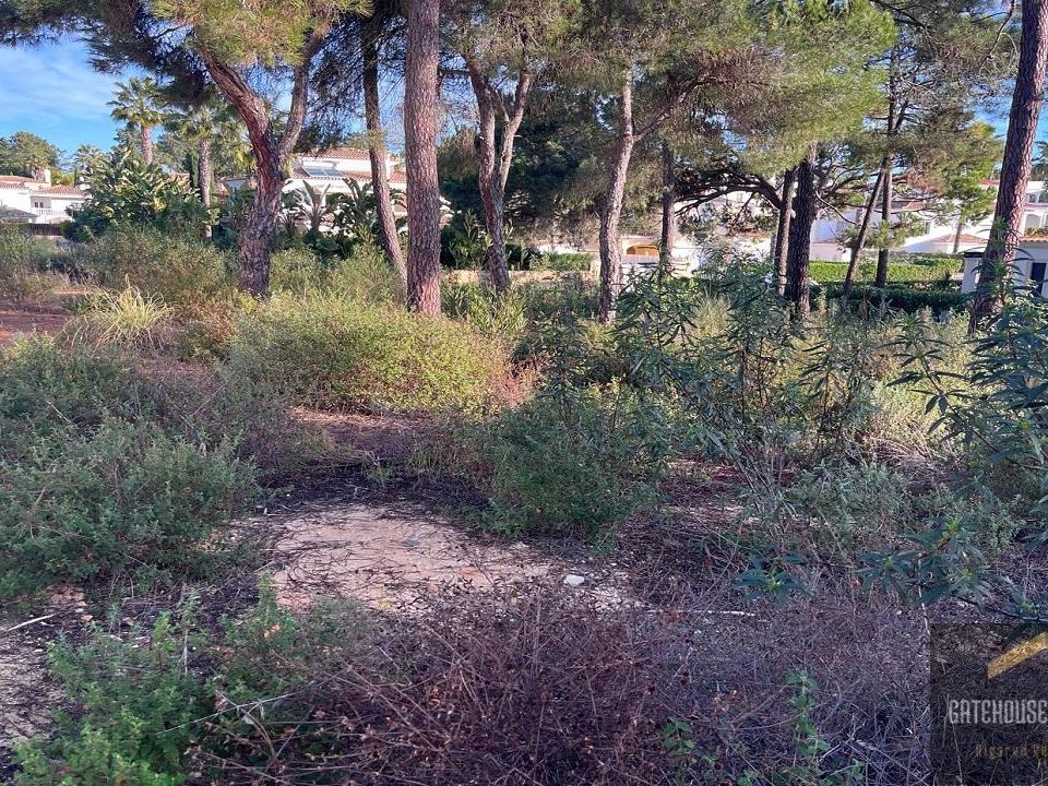 Helårsgrund i Almancil, Faro - foto 3