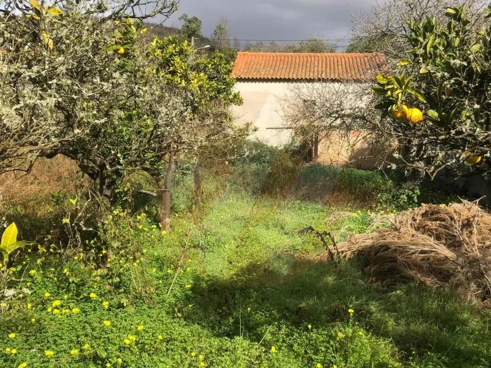 Erhvervsejendom i Odemira, Beja - foto 1