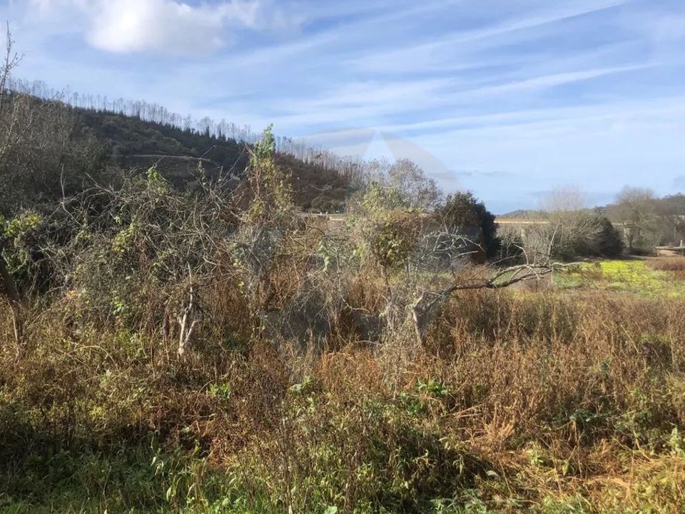 Erhvervsejendom i Odemira, Beja - foto 3