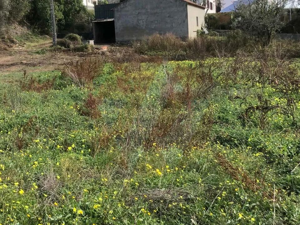 Erhvervsejendom i Odemira, Beja - foto 4