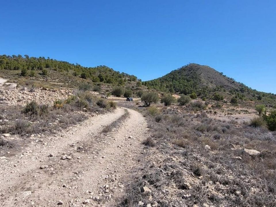 Grond in Monovar, Alicante - foto 2