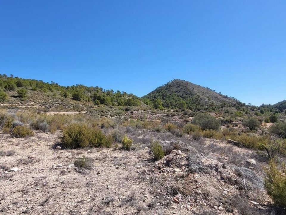 Grond in Monovar, Alicante - foto 3