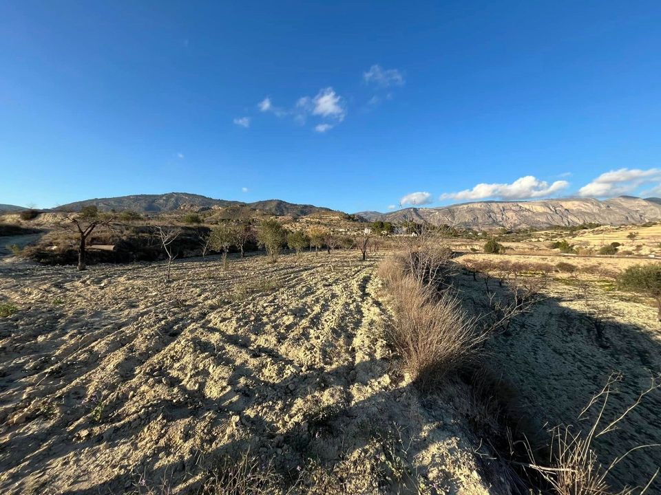 Landejendom i Relleu, Alicante - foto 1