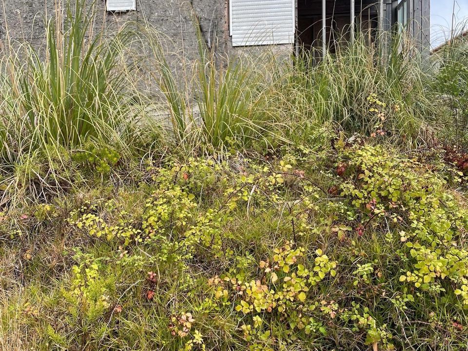 Helårsgrund i Aljezur, Faro - foto 5