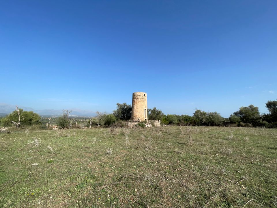 Tomt i Llubi, Mallorca - bilde 2