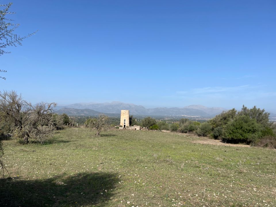 Tomt i Llubi, Mallorca - bilde 3