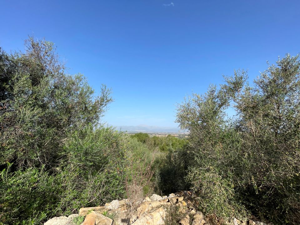 Tomt i Llubi, Mallorca - bilde 5