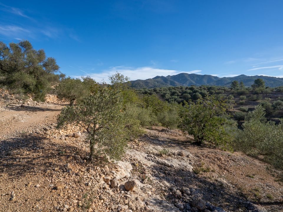 Finca i Tortosa, Tarragona - bilde 3