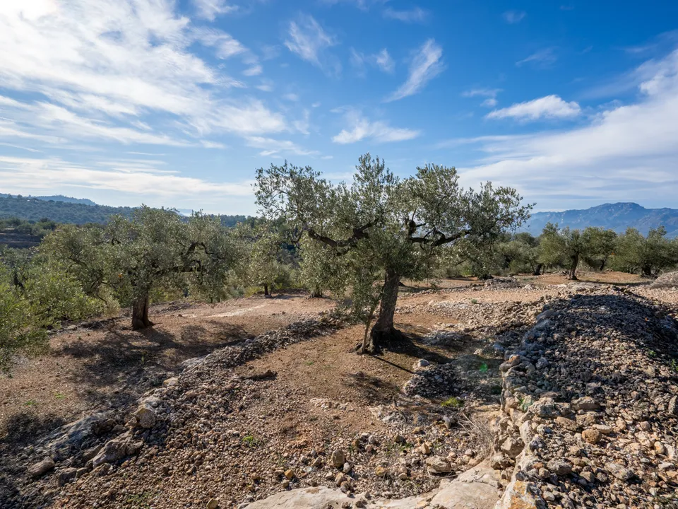 Finca i Tortosa, Tarragona - bilde 1