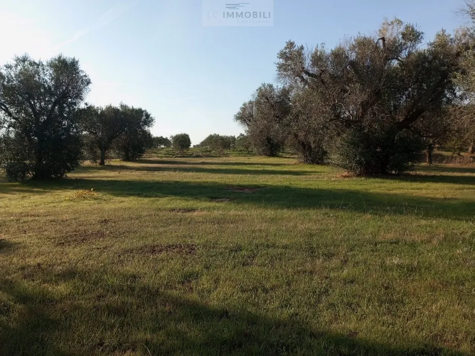 Helårsgrund i San Vito dei Normanni, Brindisi - foto 2