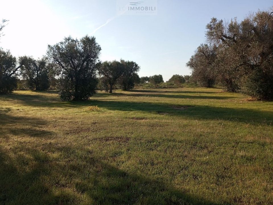 Helårsgrund i San Vito dei Normanni, Brindisi - foto 5