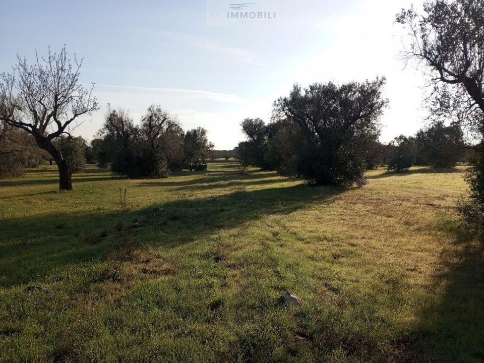 Helårsgrund i San Vito dei Normanni, Brindisi - foto 4