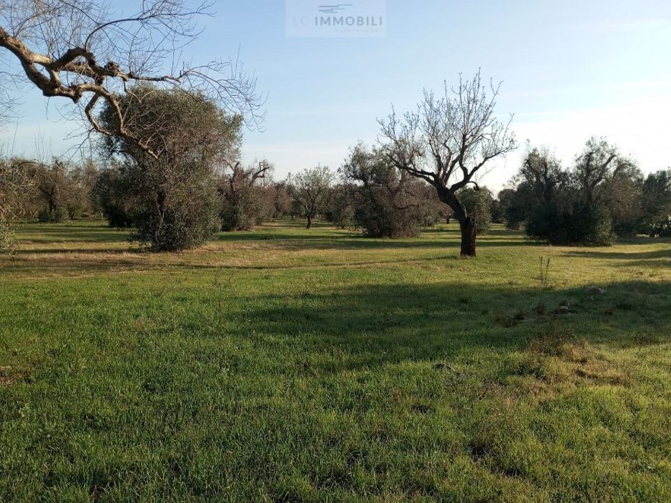 Helårsgrund i San Vito dei Normanni, Brindisi - foto 1