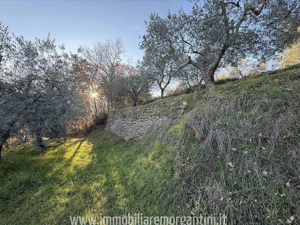 Helårsgrund i Sarteano, Siena - foto 2