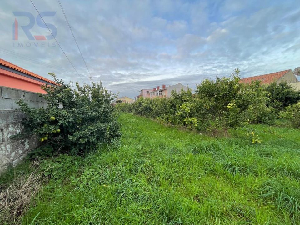 Tomt i Perafita, Porto - bilde 5