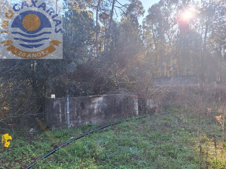 Villa a Rio de Couros e Casal dos Bernardos, Santarem - foto 5