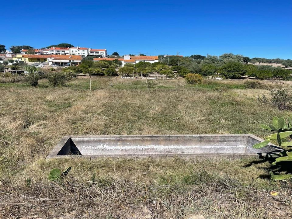 Terra a Mora, Evora - foto 3