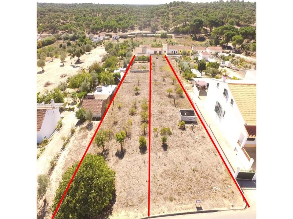 Terra a Mora, Evora - foto 4