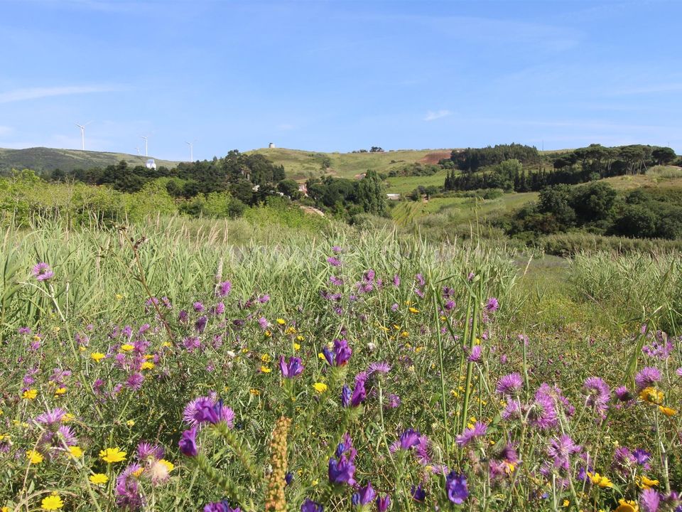 Helårsgrund i Torres Vedras, Lisbon - foto 4